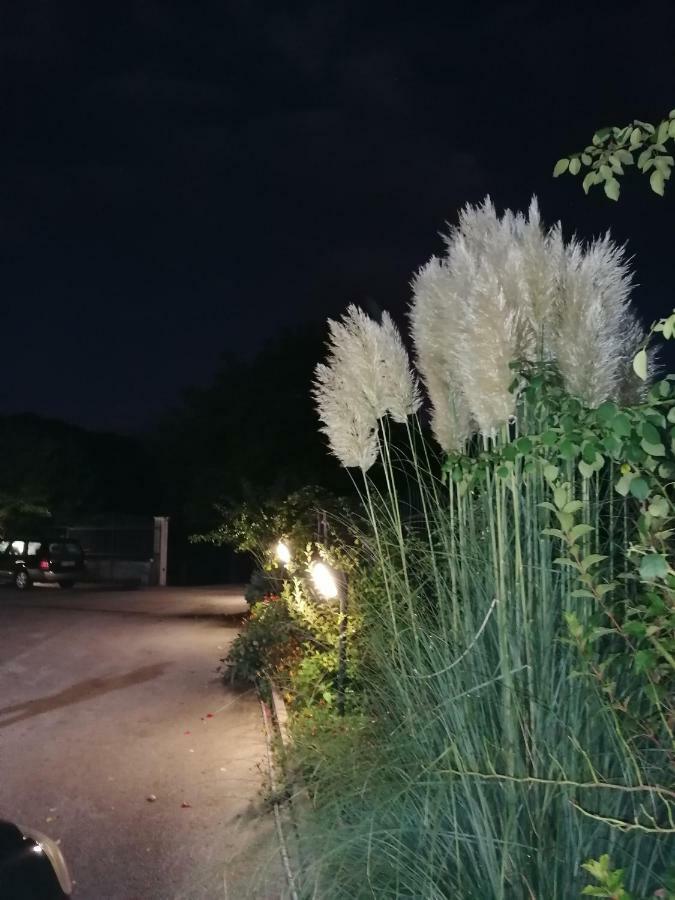 Villa Le Stanze Di Bacco à Cagnano Amiterno Extérieur photo